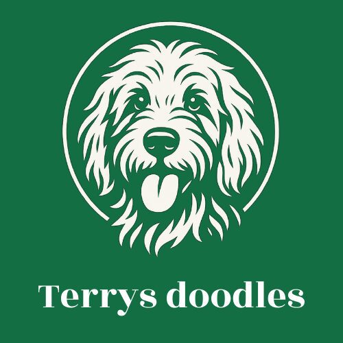 Terrys doodles