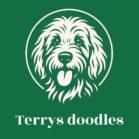 Terrys doodles